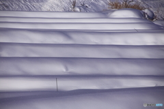 雪景２