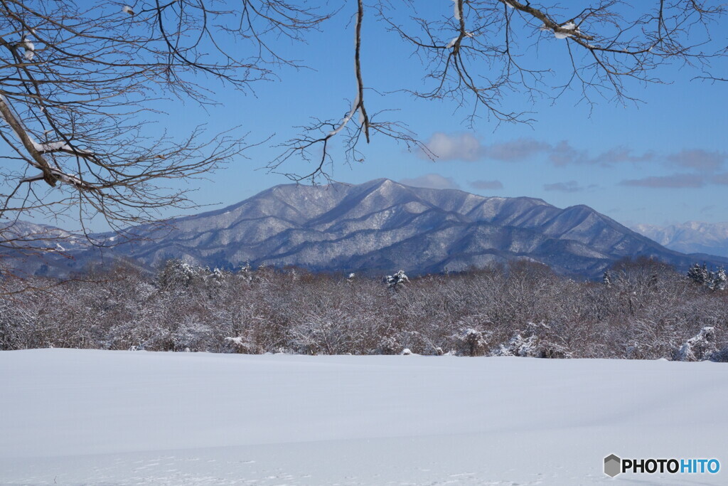 平凡なるもの