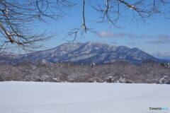 平凡なるもの