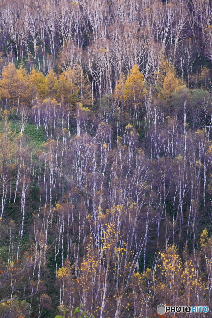 秋景拾遺　５