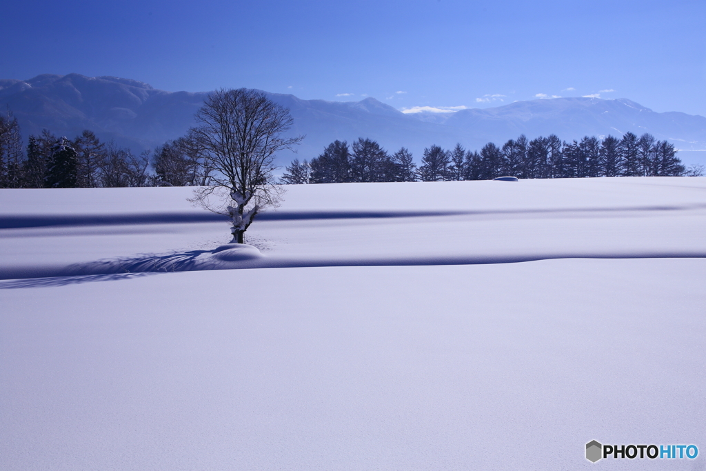 雪景　５