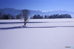 雪景　５