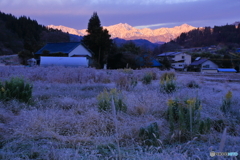 夜明けは近い? 