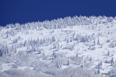根子岳を見上げて