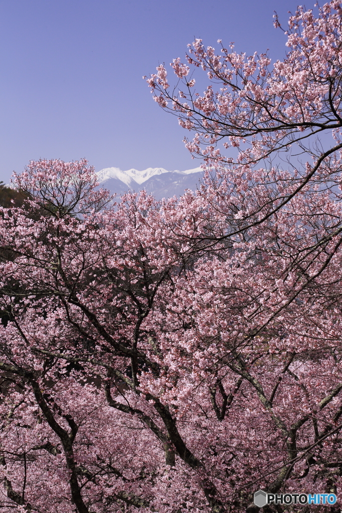 酷道