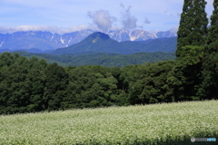 一夜山