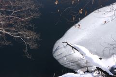 氷が溶けて