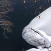 氷が溶けて