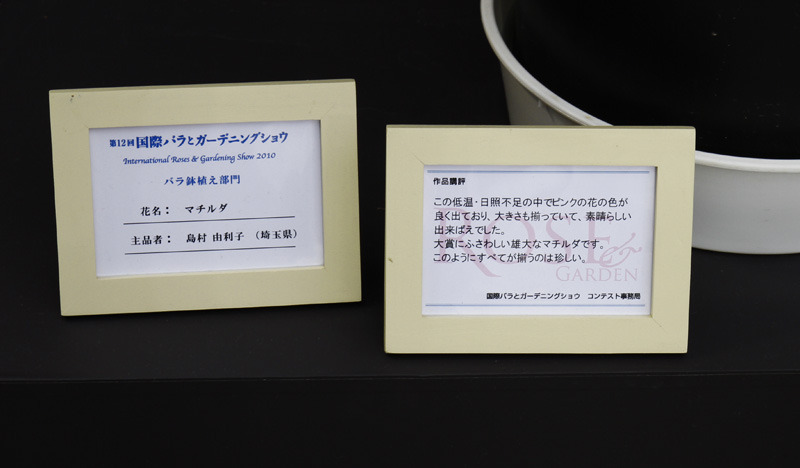 大賞花ー説明