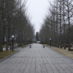 銀杏並木