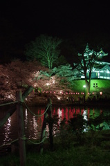 夜桜と三重櫓。