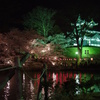 夜桜と三重櫓。