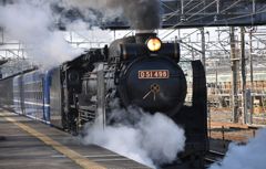 Ｄ５１