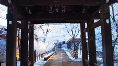 yuki