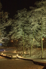 雪景_夜