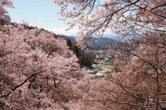 春　山里にて
