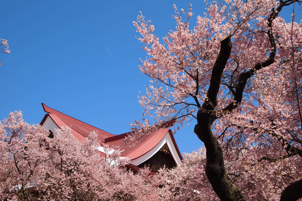 望閣