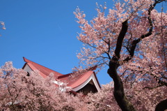 望閣