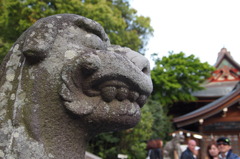 守護者の横顔