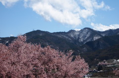 雪山を望む
