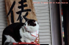 にゃラン