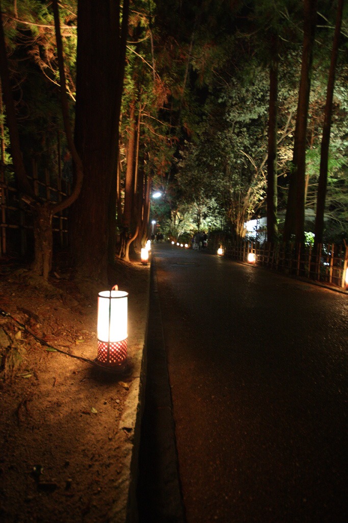 嵯峨野花灯篭