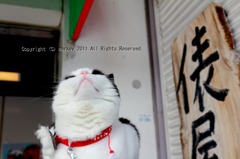 ん・・・・。