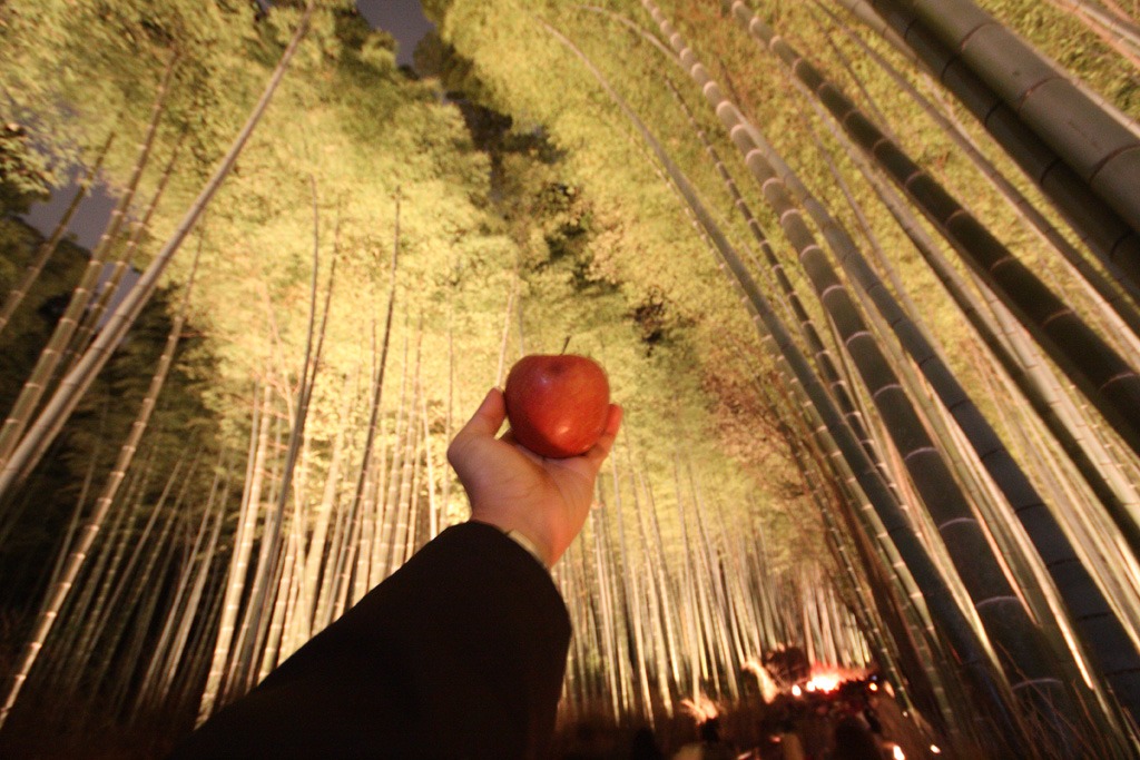 林檎の旅　竹を見出でる。