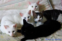Family Portrait