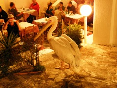 DSCF0377