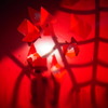 spider's net