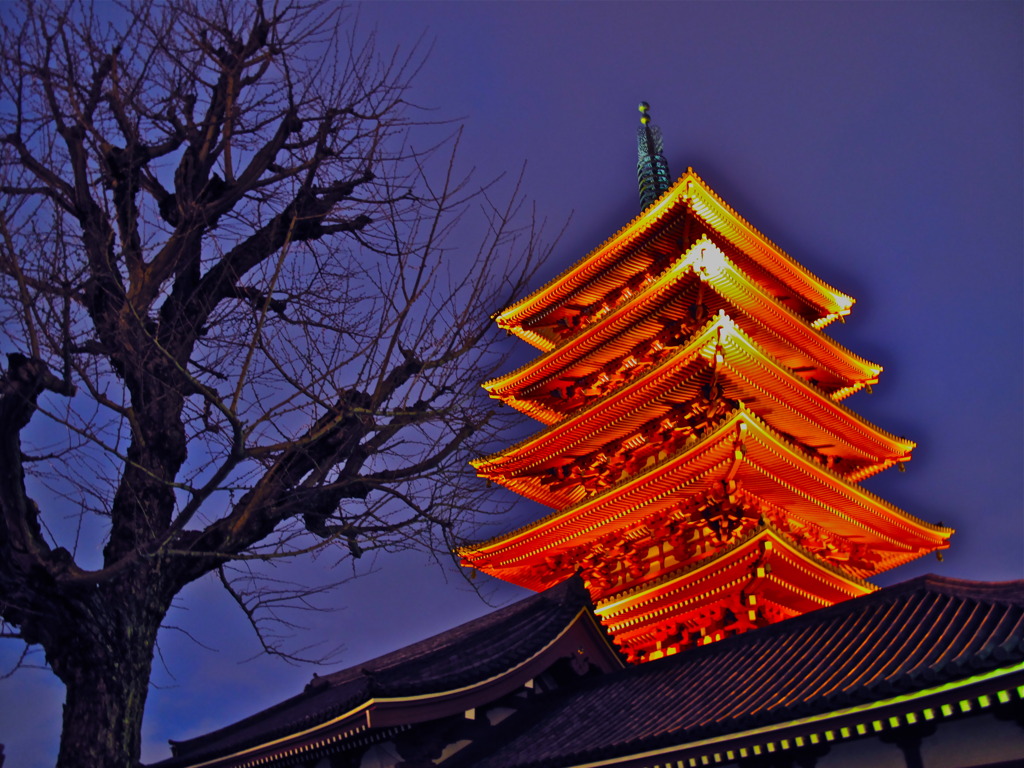 夜化粧