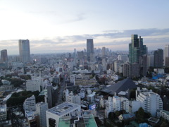 東京３