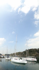油壺マリーナ2