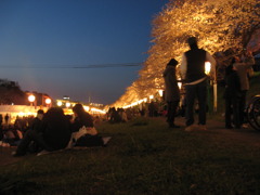 桜祭り