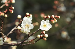 近所の公園にて