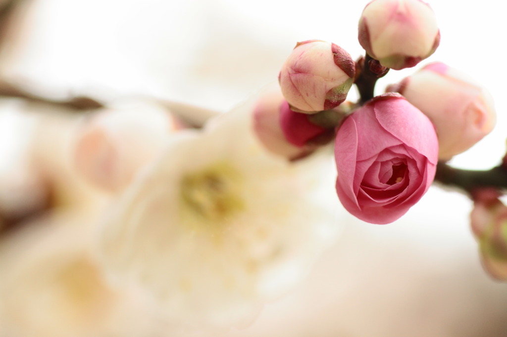 もうちょっとで