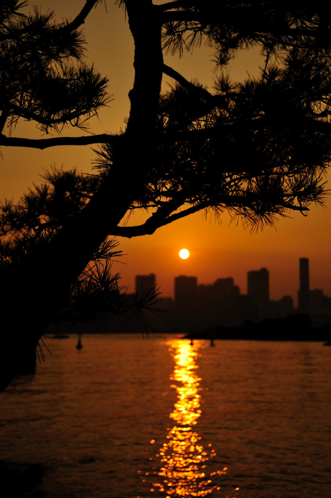 お台場の夕方