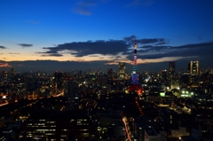 都会の夜景