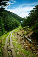 山荘への道