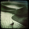 brisk walking