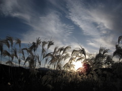 夕暮れの時