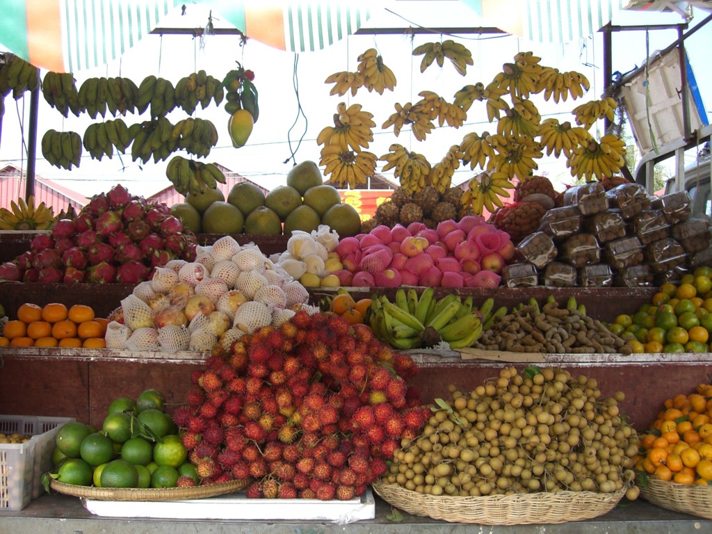 in Cambodia
