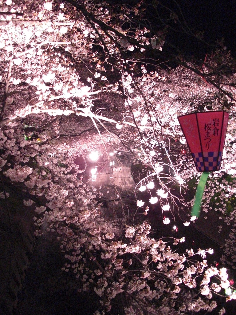 桜まつり2010