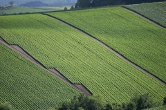 '08 富良野・美瑛