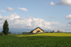 '08 富良野・美瑛