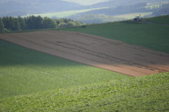 '08 富良野・美瑛