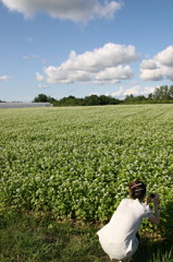 '08 富良野・美瑛