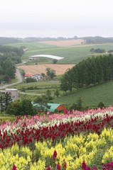 '08 富良野・美瑛