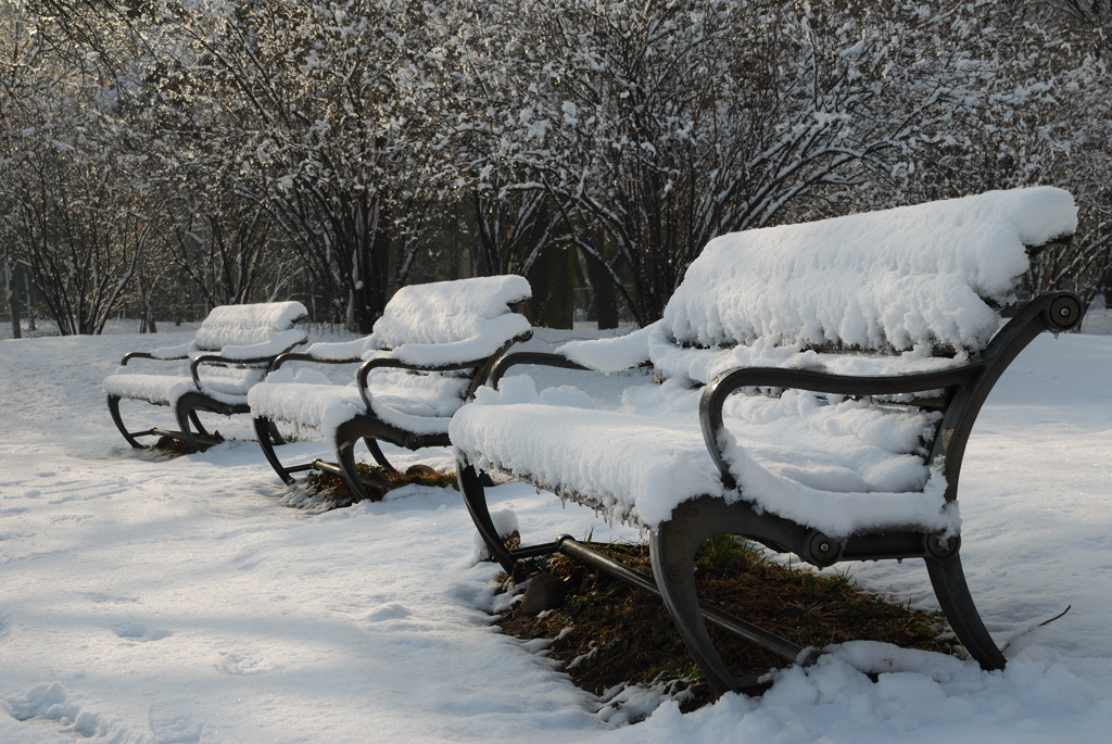 Bench ( revisited )